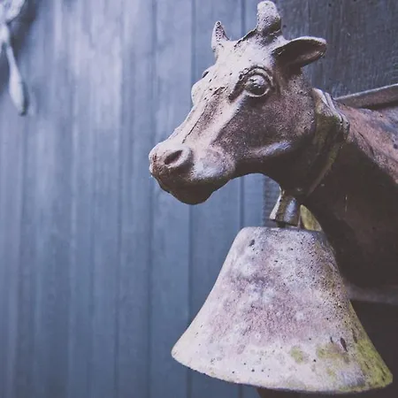 Kapberg 'om De Noord' Warmenhuizen