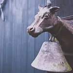 Kapberg 'om De Noord